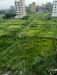 Land For Sale In Bashundhara R/S